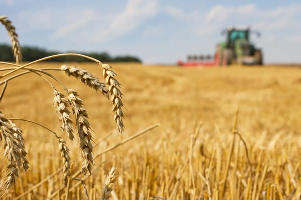 Agriculture